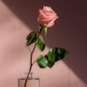 Meet your Posher, Alina